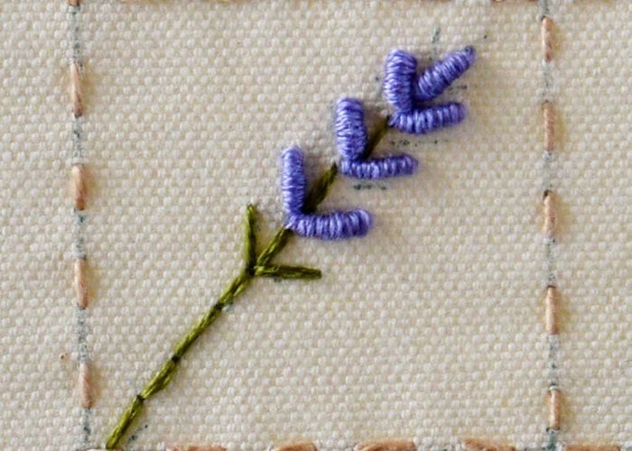 Lavendel Schritt 3